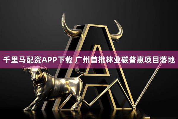 千里马配资APP下载 广州首批林业碳普惠项目落地