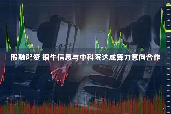 股融配资 铜牛信息与中科院达成算力意向合作